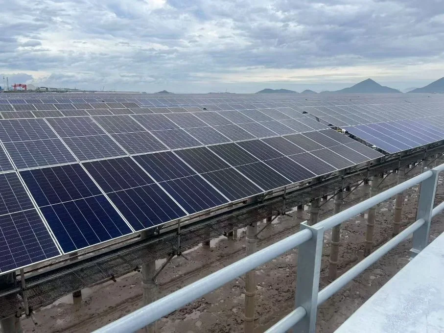 Instalación fotovoltaica con extensas filas de paneles solares elevados sobre estructuras, bajo un cielo nuboso.
